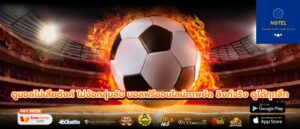 ดูบอลไม่เสียตังค์ ไม่ง้อกลุ่มลับ บอลฟรีออนไลน์ภาพชัด ลิงก์จริง ดูได้ทุกลีก